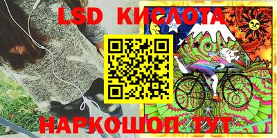 винт Будённовск