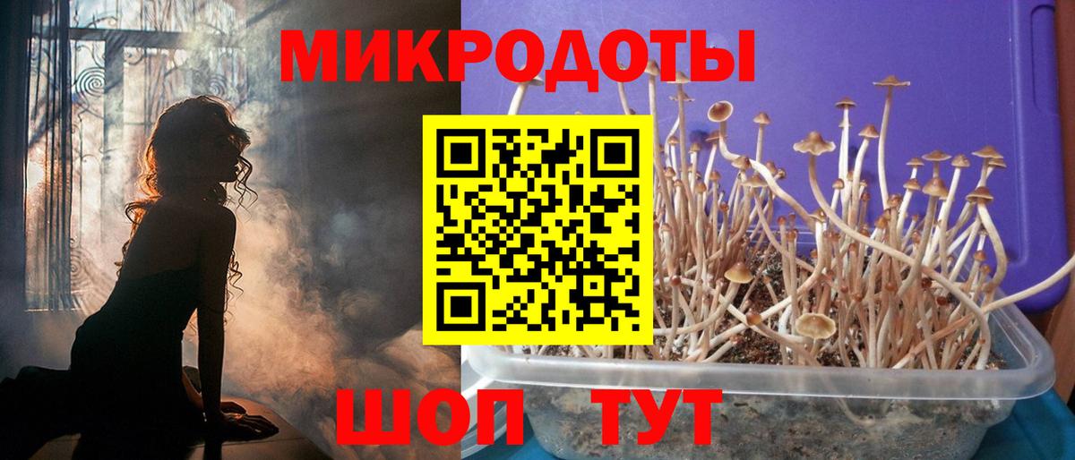 Подольск  Галлюциногенные грибы Cubensis  Псилоцибиновые грибы мухоморы  Вход с VPN 