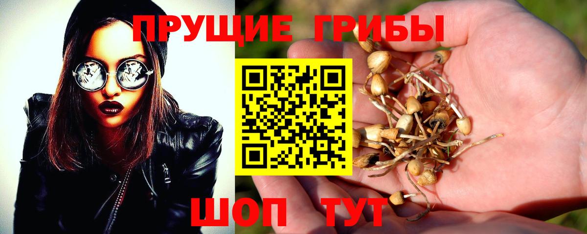 Псилоцибиновые грибы прущие грибы Подольск